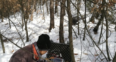 地勘院物探分院竣工完成西十及西康高铁定测工程物探项目