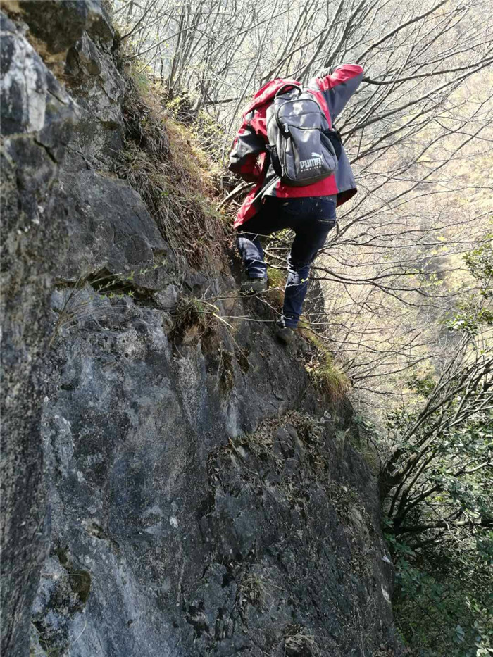 mmexport1522221977752 mmexport1522221977752