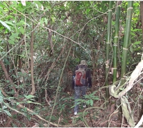 老挝万荣铜银矿普查