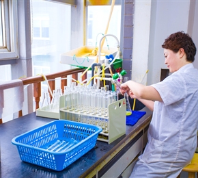 多龙矿区地质样品检测项目