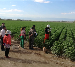 新疆兵团第五师农用地承包确权颁证测量