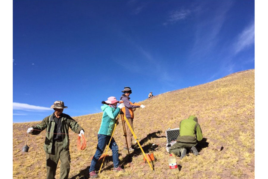 多龙铜矿大地电磁测深工作照x