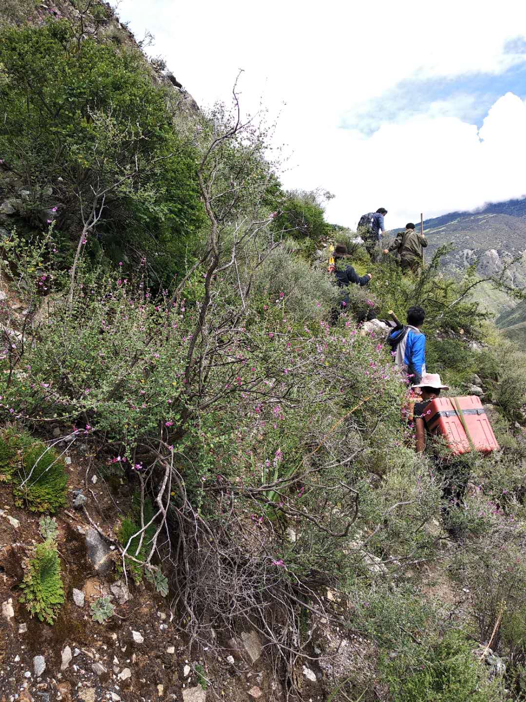 川藏线大地电磁测量