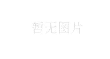 创新商业模式，盘活存量矿权