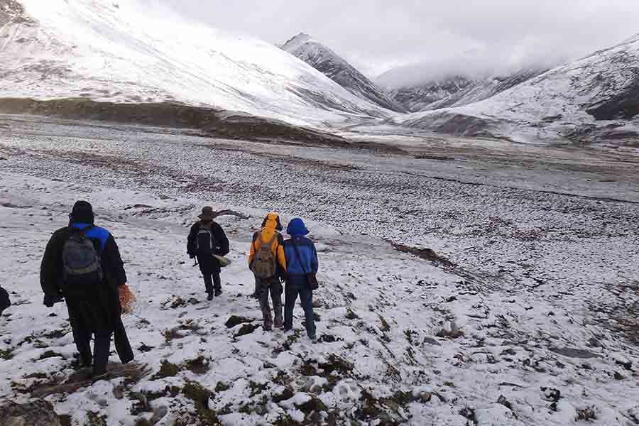 野外工作区现场