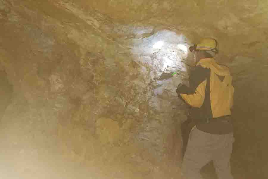 技术人员仔细研究照片a