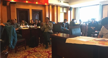 地质调查分院西藏鲁尔玛1:5万矿产地质调查项目顺利结题