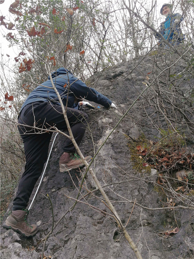 QQ图片20190228094633_副本 QQ图片20190228094633_副本