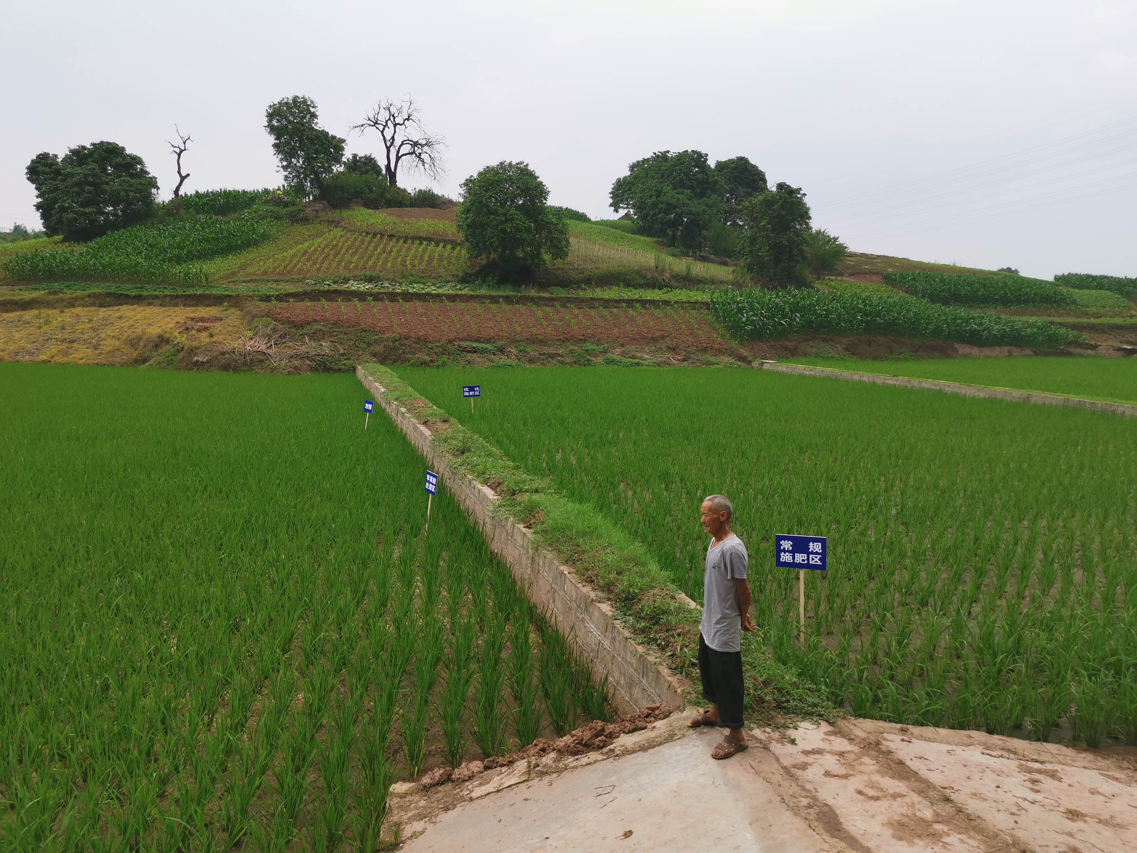 IMG_20210519_154408 IMG_20210519_154408