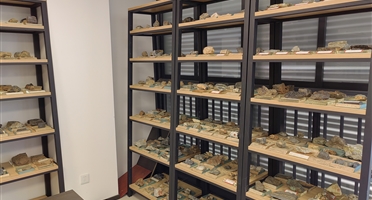 院实物岩矿标本征集倡议书