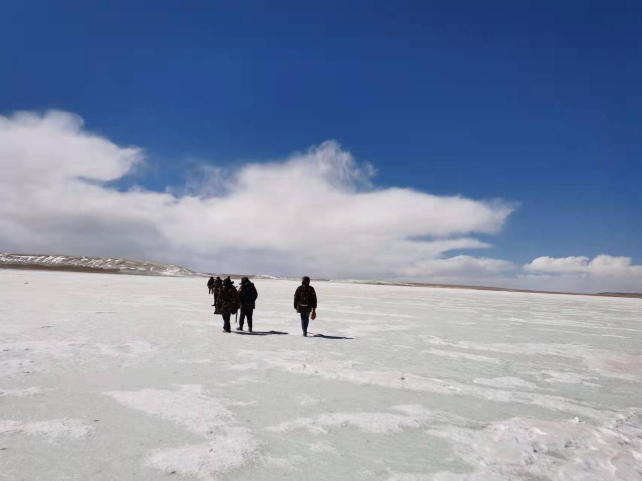 0304——图片2 0304——图片2