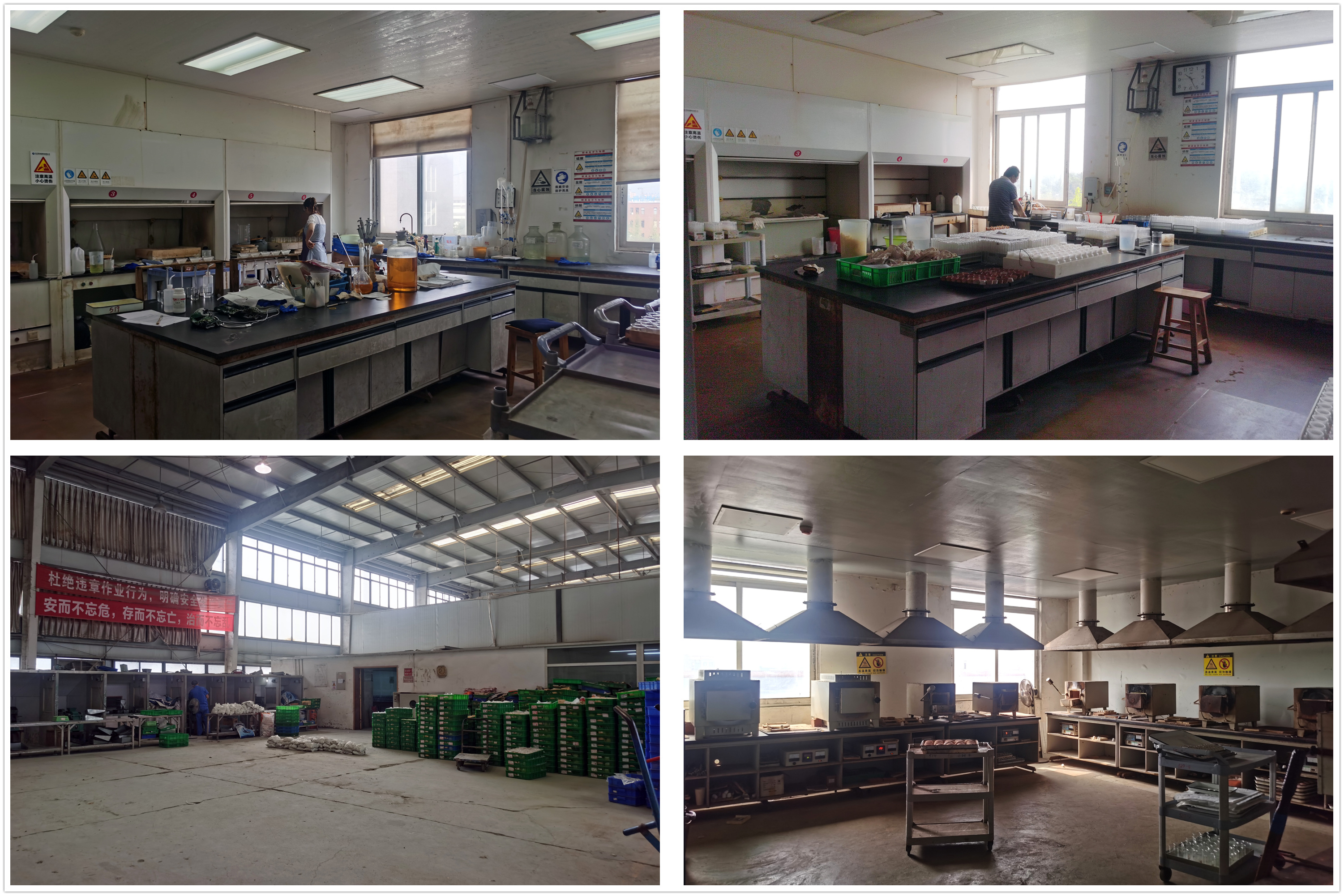 未命名_副本 未命名_副本