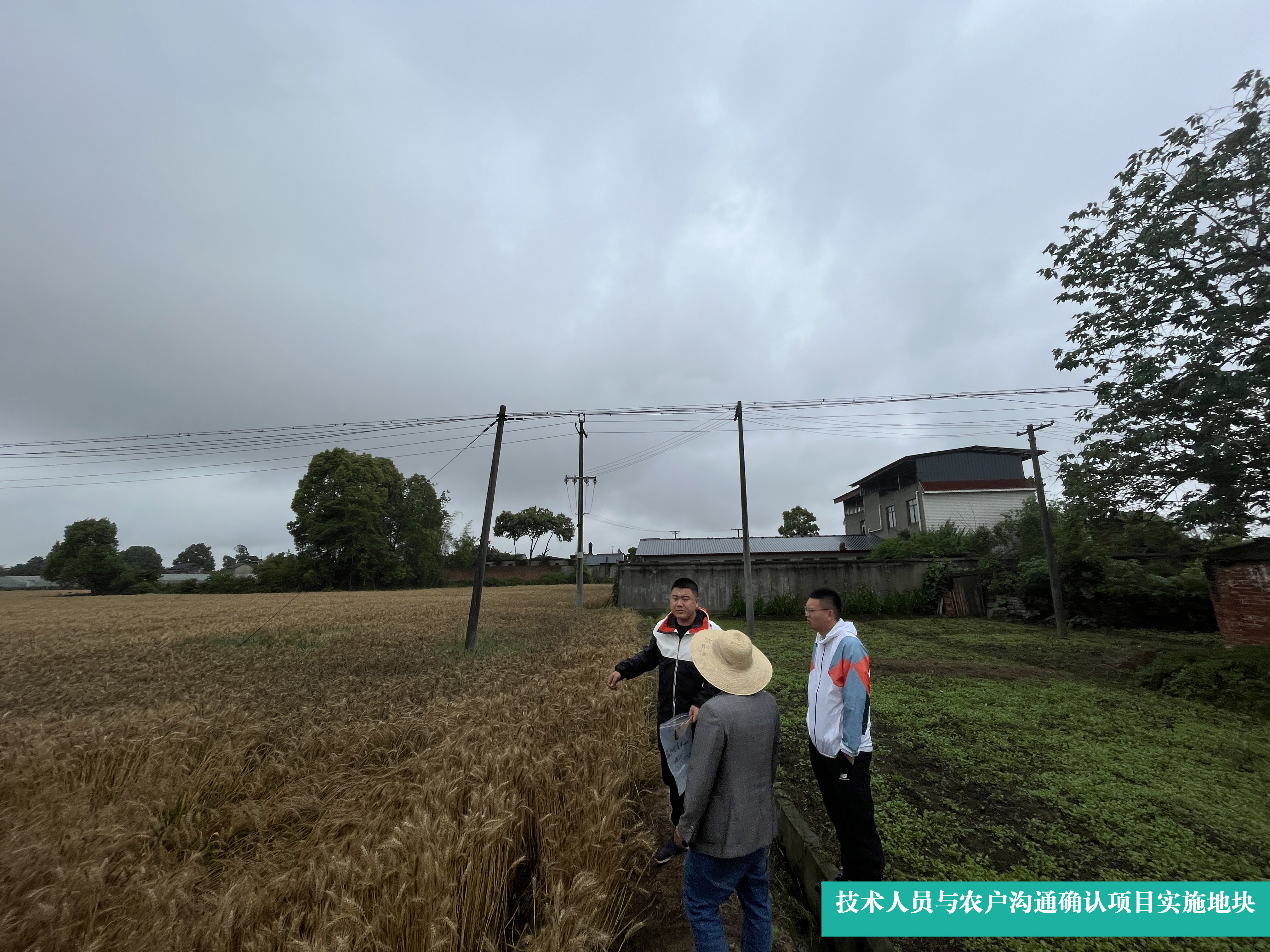 6.6新闻3 6.6新闻3