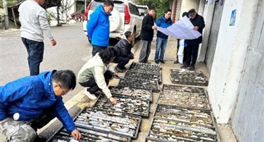 冕宁县马头金矿普查项目通过省厅中期检查