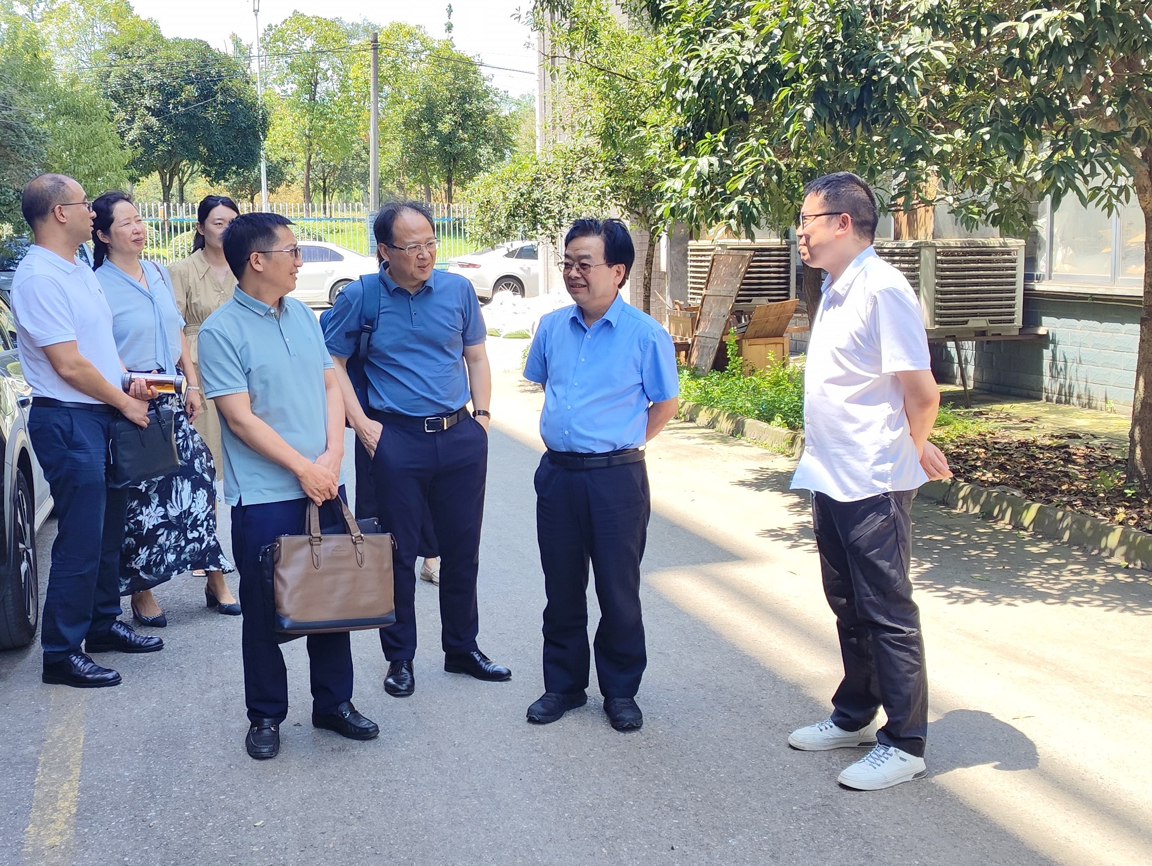 李总-检测1 李总-检测1